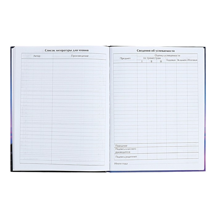 Дневник универсальный для 1-11 классов "На грани", твёрдая обложка, матовая ламинация, выборочный лак, 40 листов