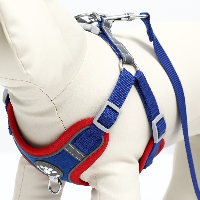 Комплект Sport+, S, поводок 150 x 1,5 см, ОШ 39-41 см, ОГ 44-48 см, вес животного 7-13 кг, синий 96 Комплект Sport+, S, поводок 150 x 1,5 см, ОШ 39-41 см, ОГ 44-48 см, вес животного 7-13 кг, синий 96