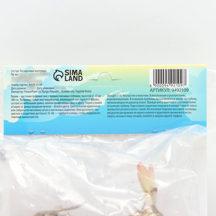 Лилия Махровая Лилия Махровая "Double Trouble", р-р 12/14, 2 шт,