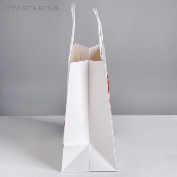 Пакет подарочный, упаковка, «Бесишь», 22 х 22 х 11 см Пакет подарочный, упаковка, «Бесишь», 22 х 22 х 11 см