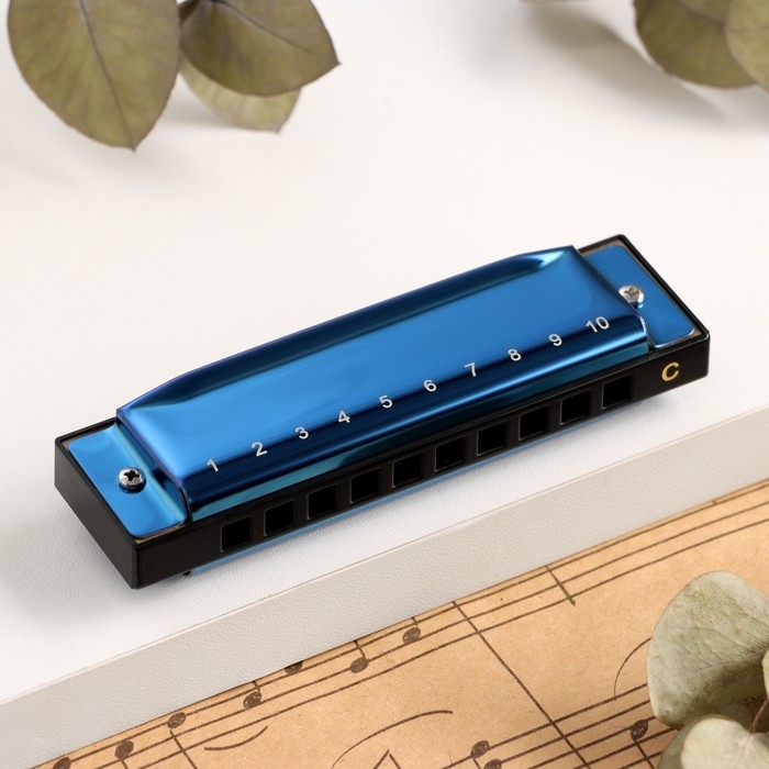 Губная гармошка Music Life T003 C диатоническая, 10 отверстий, с футляром, синяя Губная гармошка Music Life T003 C диатоническая, 10 отверстий, с футляром, синяя