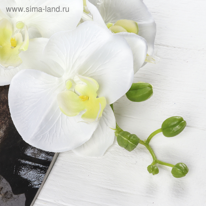 Цветы искусственные  Цветы искусственные "Орхидея Изящная" 10х100 см, белый