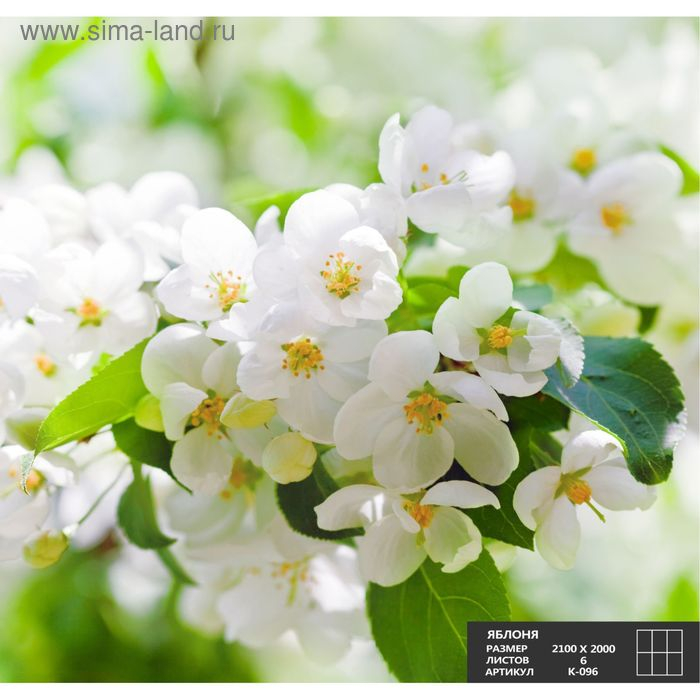 Фотообои К-096 «Яблоня» (6 листов), 210 × 200 см Фотообои К-096 «Яблоня» (6 листов), 210 × 200 см