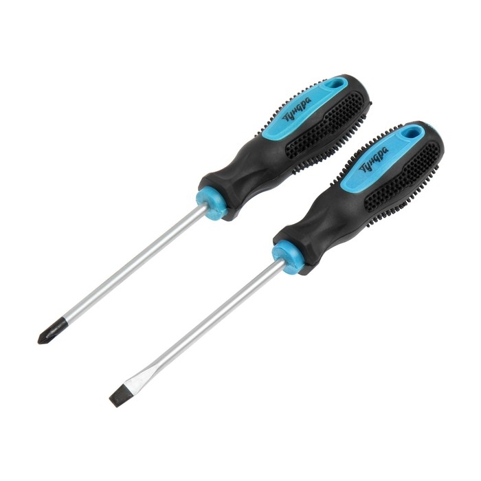 Набор отверток ТУНДРА, сатин, магнит, двухкомпонентные рукоятки, PH1 и SL5 х 100 мм, 2 шт. Набор отверток ТУНДРА, сатин, магнит, двухкомпонентные рукоятки, PH1 и SL5 х 100 мм, 2 шт.
