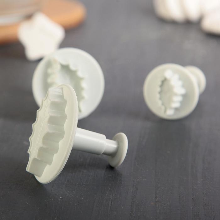 Набор плунжеров кондитерских Доляна «Листик», 3 шт, d=7/6,5/5 см Набор плунжеров кондитерских Доляна «Листик», 3 шт, d=7/6,5/5 см