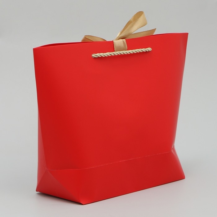 Пакет подарочный новогодний «Новогодние праздники», 19 х 20 х 9 см, Новый год Пакет подарочный новогодний «Новогодние праздники», 19 х 20 х 9 см, Новый год