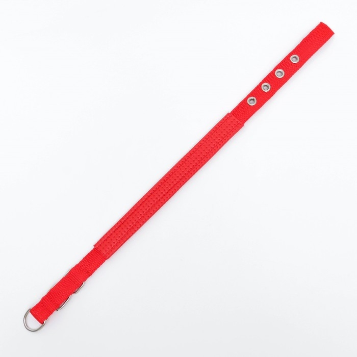 Ошейник Ошейник "Комфорт" комбинированный, 45 х 2 см, ОШ 30-39 см, красный