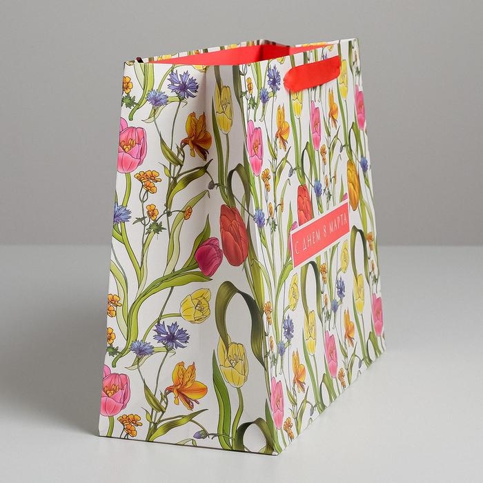 Пакет подарочный ламинированный горизонтальный, упаковка, «С Днем 8 Марта», ML 27 х 23 х 11,5 см