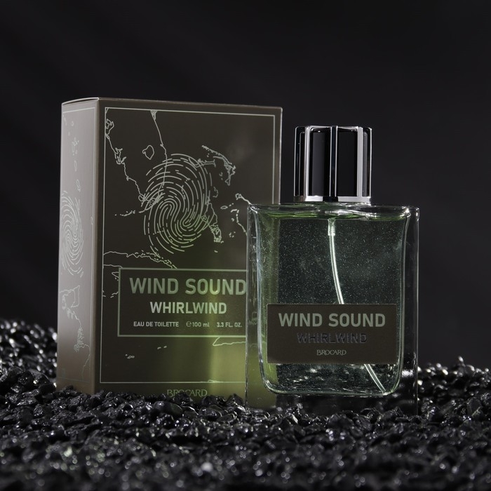 Туалетная вода мужская "Звук Ветра", "Смерч", 100 мл