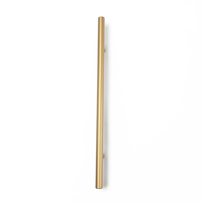 Ручка рейлинг ТУНДРА, облегчённая, d=12 мм, м/о 192/300 мм, внеш ножка, цвет золото Ручка рейлинг ТУНДРА, облегчённая, d=12 мм, м/о 192/300 мм, внеш ножка, цвет золото