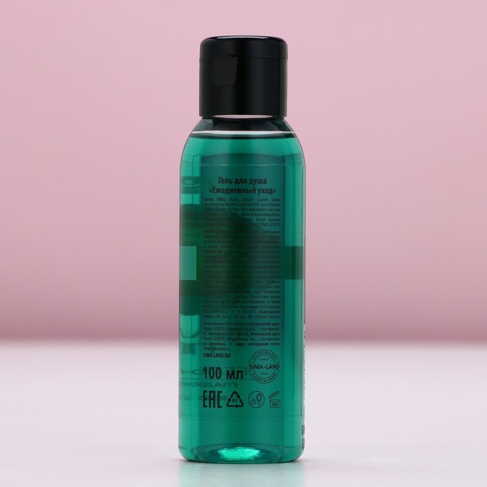 Гель для душа, 100 мл, аромат яблочного пирога, Новый Год