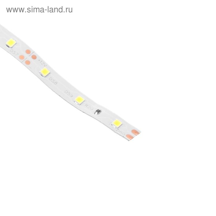 Светодиодная лента Ecola PRO 5 м, IP20, SMD3528, 60 LED/м, 4.8 Вт/м, 12 В, 4200К Светодиодная лента Ecola PRO 5 м, IP20, SMD3528, 60 LED/м, 4.8 Вт/м, 12 В, 4200К