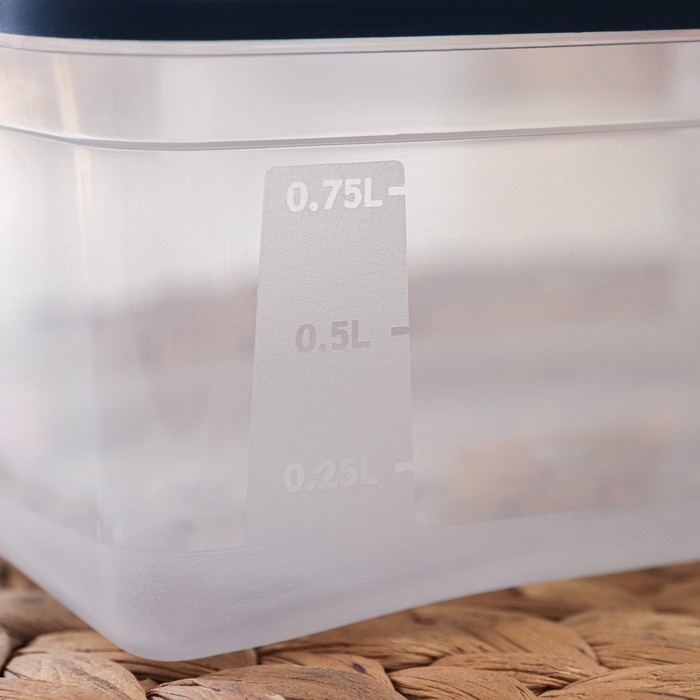 Набор прямоугольных контейнеров для замораживания продуктов «Морозко», 1 л , 3 шт, прозрачные, крышки микс Набор прямоугольных контейнеров для замораживания продуктов «Морозко», 1 л , 3 шт, прозрачные, крышки микс