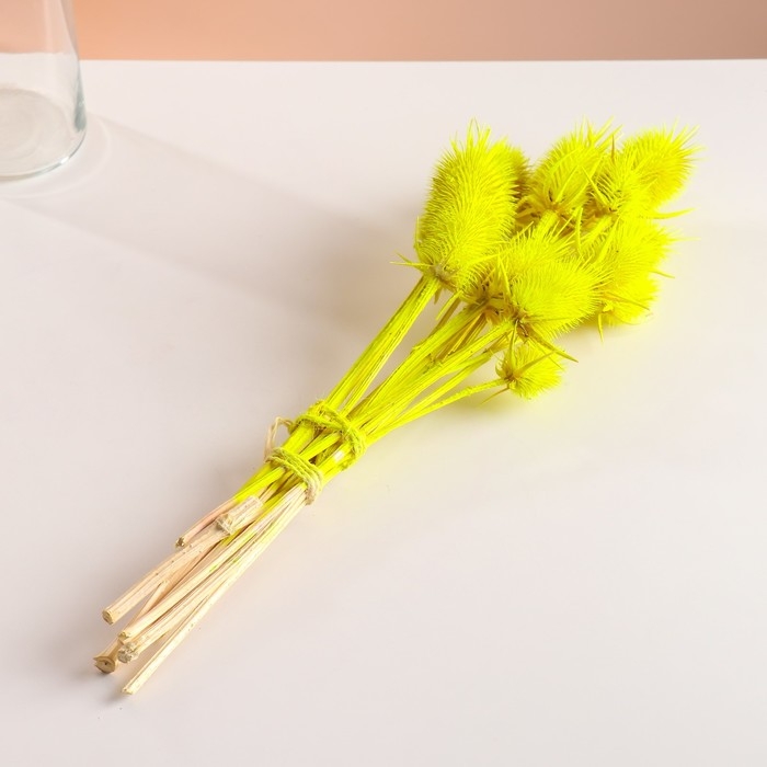 Набор сухоцветов Набор сухоцветов "Ворсянка", банч 7-8 шт, длина 50 (+/- 6 см), ярко-желтый