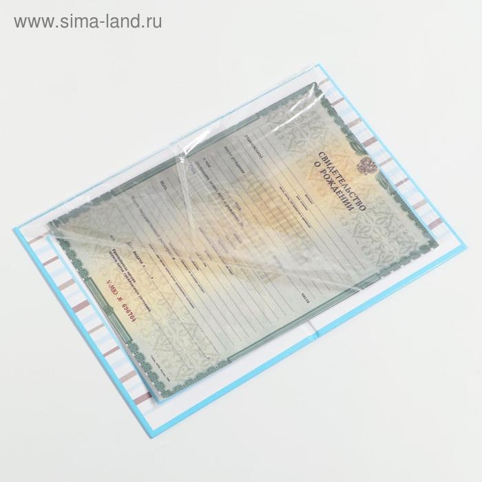 Папка для свидетельства о рождении мальчика «Бабочка», А5 Папка для свидетельства о рождении мальчика «Бабочка», А5