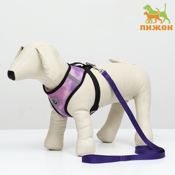 Комплект для собак 3-5 кг, размер S, поводок 120 х 1,5 см, ОШ 24 см, ОГ 34 см Комплект для собак 3-5 кг, размер S, поводок 120 х 1,5 см, ОШ 24 см, ОГ 34 см