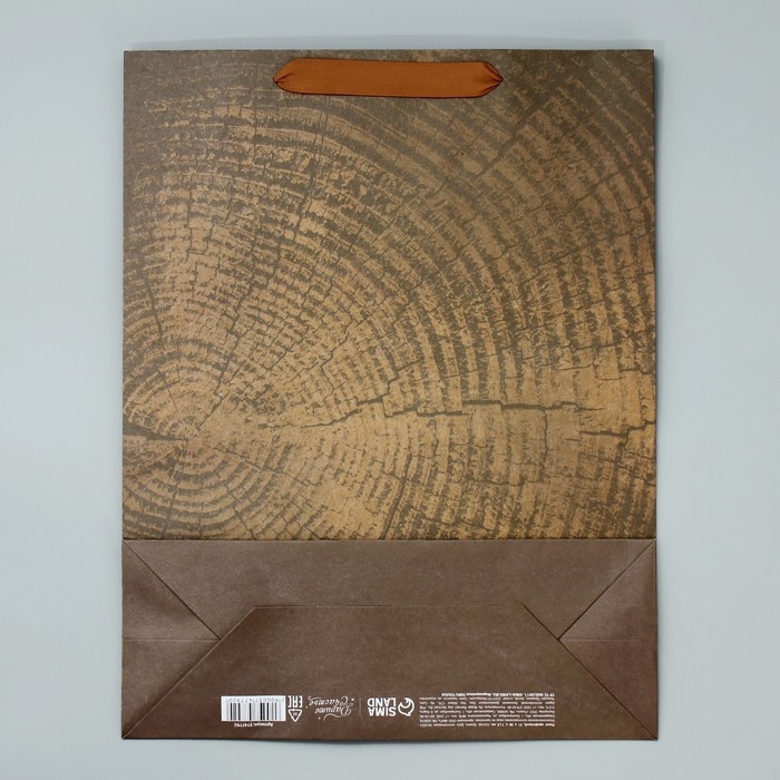 Пакет подарочный крафтовый вертикальный, упаковка, «Нереальных высот», L 31 х 40 х 9 см Пакет подарочный крафтовый вертикальный, упаковка, «Нереальных высот», L 31 х 40 х 9 см