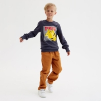 Свитшот для мальчика MINAKU: Casual Collection KIDS цвет графит, рост 152