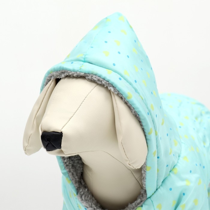 Комбинезон  Комбинезон "нежный путь" на меховом подкладе, размер XL (ДС 40, ОШ 40, ОГ 50 см), голубой