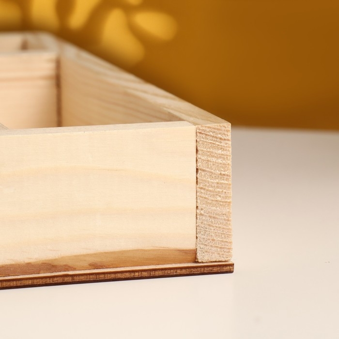 Кашпо деревянное  Кашпо деревянное "Зигзаг" 5 отсеков 25х25х4 см натуральный