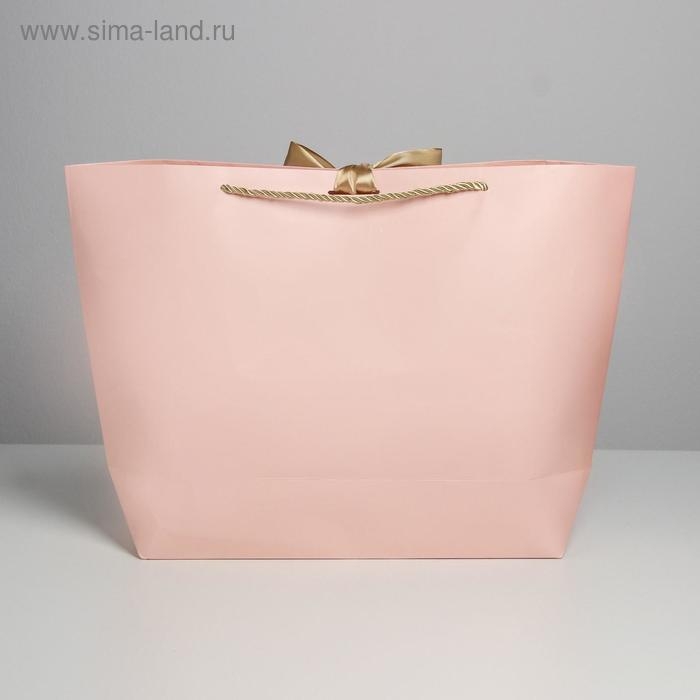 Пакет подарочный, упаковка, «Present for you», 30 х 27.5 х 12 см Пакет подарочный, упаковка, «Present for you», 30 х 27.5 х 12 см