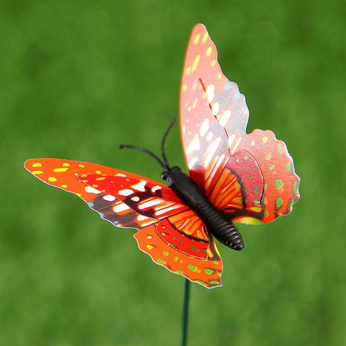 Штекер Штекер "Бабочка Дельфиус" 25см, набор 6шт, МИКС