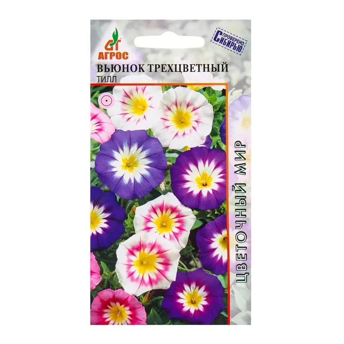 Семена Вьюнок трехцветный &laquo;Тилл&raquo;, 0.5 г, &laquo;Агрос&raquo;