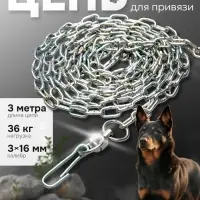 Цепь для привязи собак, 3 м, калибр 3&times;16 мм, белая
