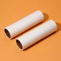 Сменный ролик для одежды Анти-шерсть, 10 см, 60 листов, 2 шт.