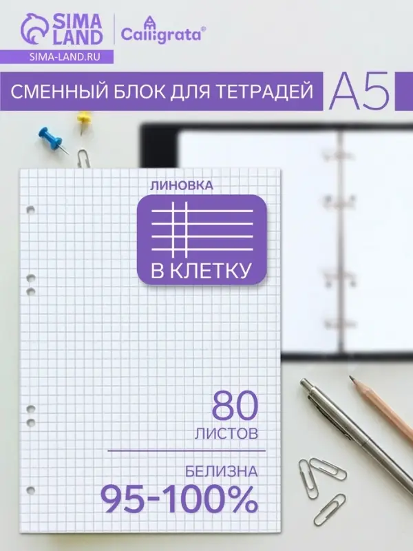 Сменный блок для тетрадей на кольцах А5, 80 листов в клетку, белый, 60 г/м² Сменный блок для тетрадей на кольцах А5, 80 листов в клетку, белый, 60 г/м²
