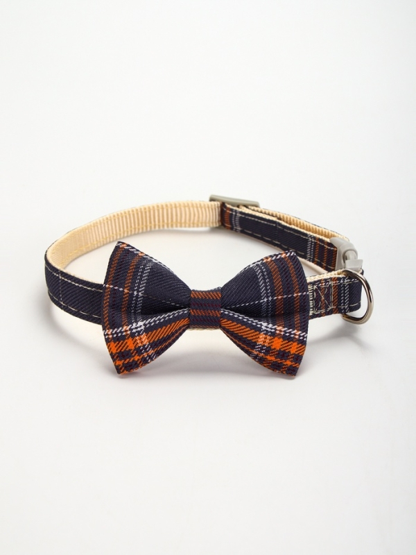 Ошейник Ошейник "Джентельмен в клеточку", 40 х 1,5 см, коричневый