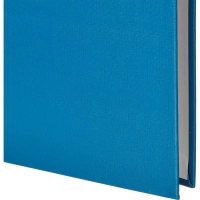 Папка-регистратор 50мм, 10шт/уп, cиний,ПБП1,карм.кор