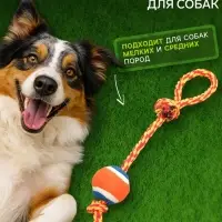 Игрушка тренировочная канатная, до 125 г, до 45 см, с мячом, цвет МИКС
