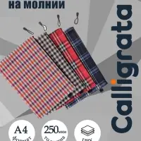 Папка-конверт на молнии Calligrata &laquo;Шотландка&raquo; А4, МИКС
