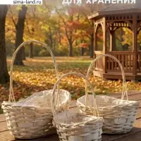 Корзина плетёная для хранения Mera, лоза, с ручкой, белая, набор 3 шт.