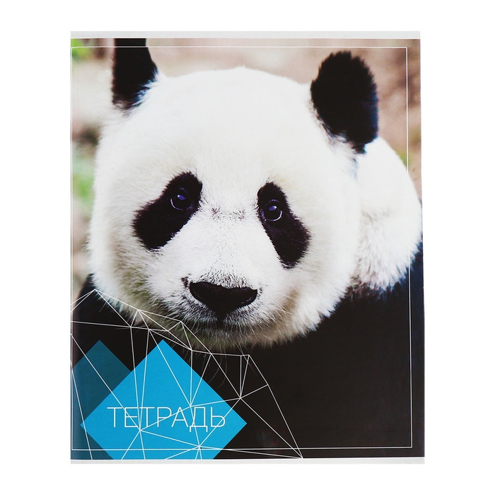 Комплект тетрадей из 4 штук, 96 листов в клетку Calligrata Комплект тетрадей из 4 штук, 96 листов в клетку Calligrata "Животные", обложка мелованный картон, блок №2, белизна 75% (серые листы)