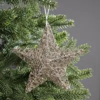 Подвеска световая &laquo;Звезда золотистая&raquo;, 20&times;20&times;5 см, 10 LED, от батареек AG13&times;3, свечение тёплое белое