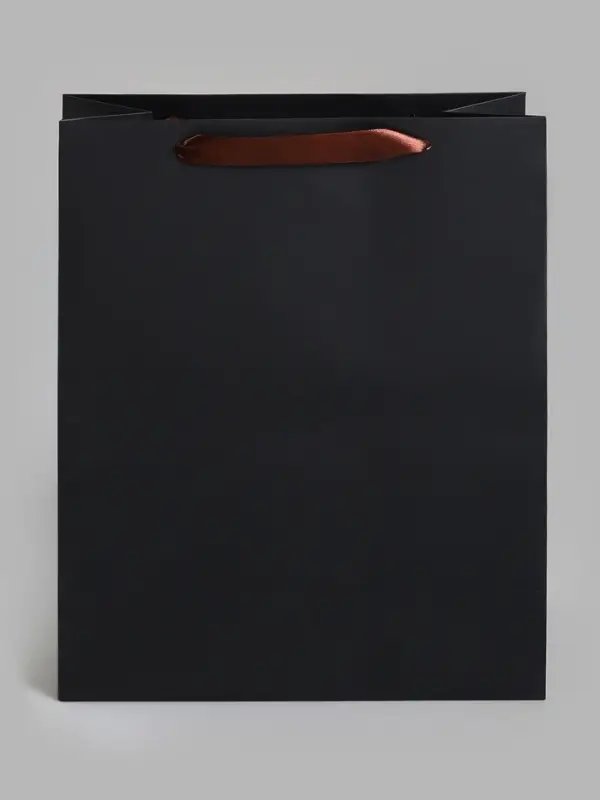 Пакет подарочный ламинированный &laquo;Чёрный&raquo;, M 26&times;32&times;12 см