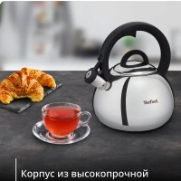 Чайник Kettle ss induction N4180317, для всех видов плит