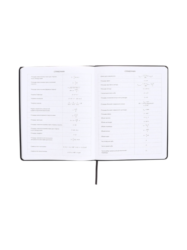 Дневник школьный 1-11 класс, deVENTE. Anonymous, искусственная кожа, шелкография