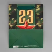 Пакет подарочный ламинированный, упаковка, &laquo;С 23 февраля&raquo;, MS 18&times;23&times;10 см