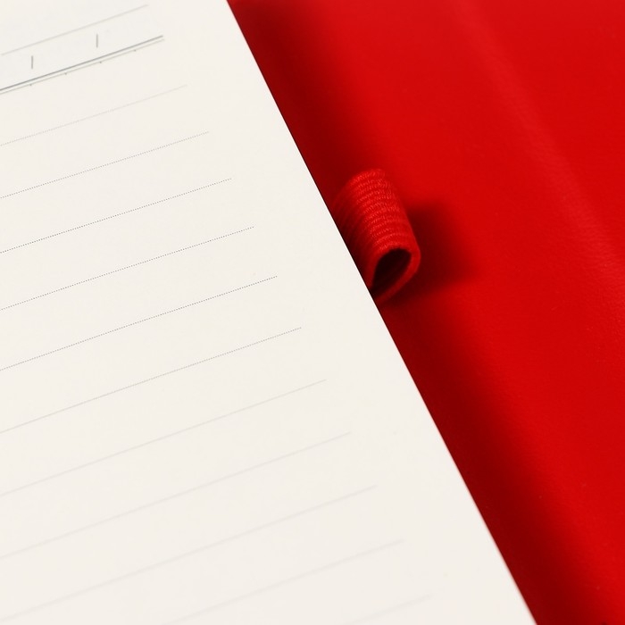 Органайзер на кольцах А6+, 80 листов, кожзам, c клапаном, линия, с ручкой, в подарочной коробке, красный Органайзер на кольцах А6+, 80 листов, кожзам, c клапаном, линия, с ручкой, в подарочной коробке, красный