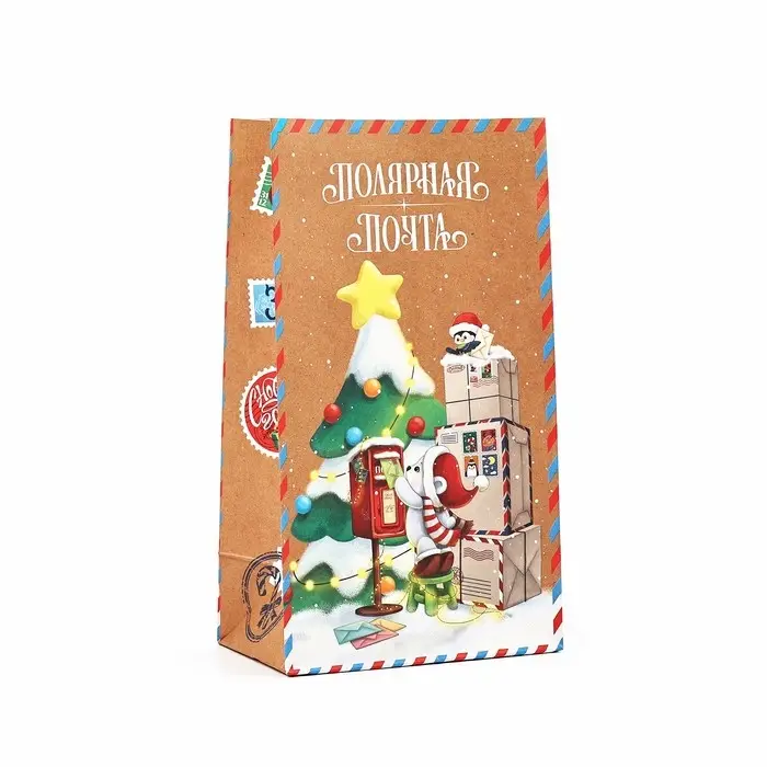 Пакет подарочный без ручек «Полярная почта», 10×19.5×7 см Пакет подарочный без ручек «Полярная почта», 10×19.5×7 см