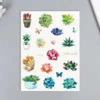 Переводные тату на тело цветные «Бабочки. Суккуленты», 24×14.5 см, МИКС