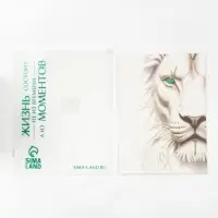 Пакет подарочный «Новогодняя сказка», с ободком, 31 × 11 × 40 см Пакет подарочный «Новогодняя сказка», с ободком, 31 × 11 × 40 см