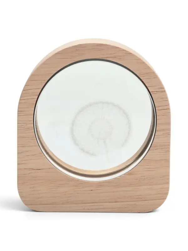 Ночник светодиодный &laquo;Одуванчик&raquo; 3&times;7.5&times;8.4 см, USB