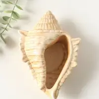 Фигурка - подставка для мелочей &laquo;Ракушка большая&raquo;, гипс, 17&times;11 см