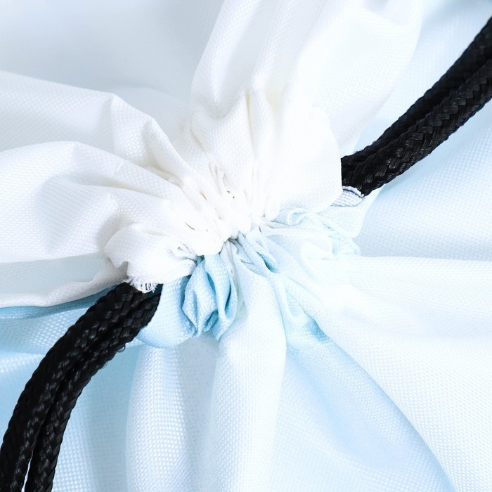 Мешок для обуви «Милый котик» 2 секции, 30×40 см Мешок для обуви «Милый котик» 2 секции, 30×40 см