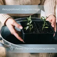 Кассета для рассады, 6 ячеек по 120 мл, пластик, чёрная, набор 5 шт.
