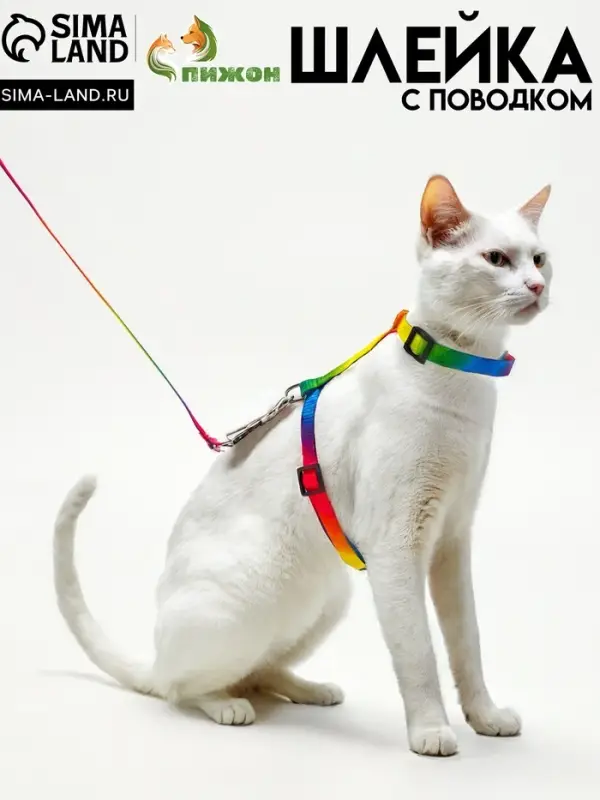 Комплект для кошек &laquo;Радуга&raquo;, ОШ 16.5-27, ОГ 21-35 см, ширина 1 см, поводок 120 см